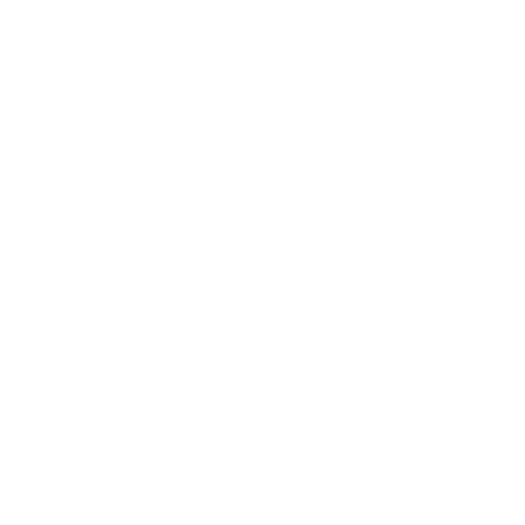 feature-item-3